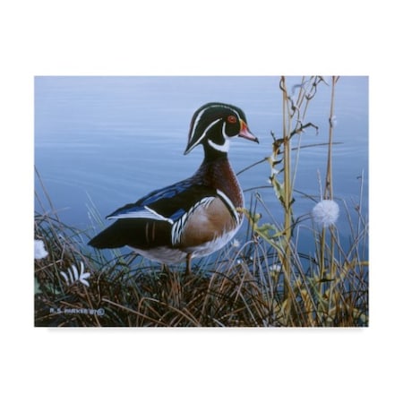 Ron Parker 'Duck At Waters Edge' Canvas Art,18x24